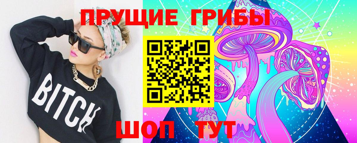 Псилоцибиновые грибы Psilocybe  как найти наркотики  Псилоцибиновые грибы прущие грибы  Фрязино  Вход с VPN 