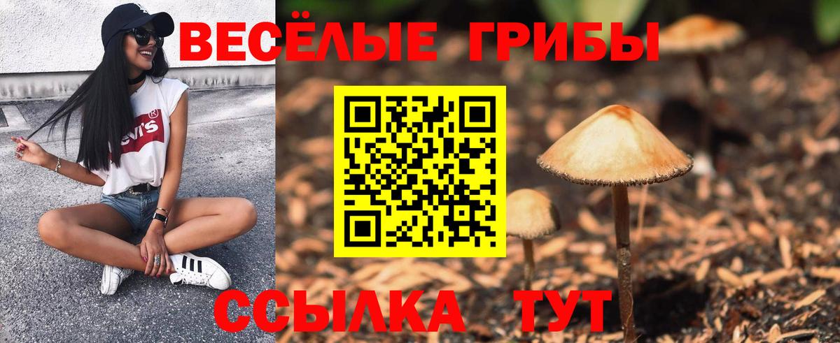 Псилоцибиновые грибы GOLDEN TEACHER Фрязино